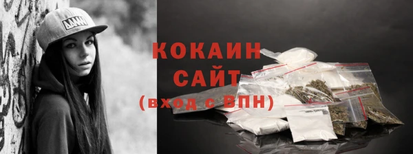 индика Зерноград
