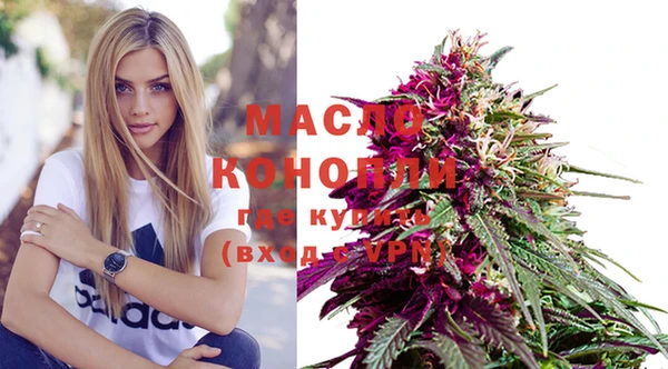 индика Зерноград