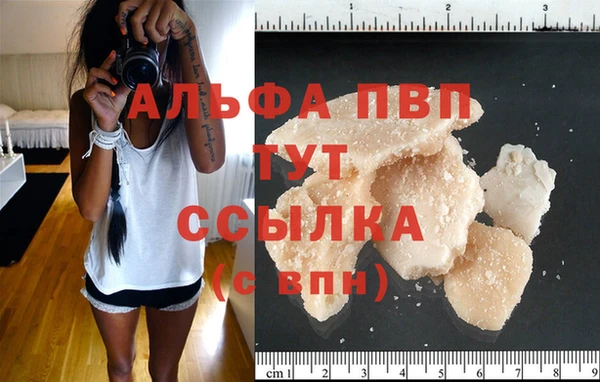индика Зерноград